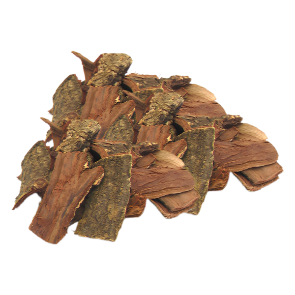 Kikar Chaal: Acacia Tree Bark for Natural Health Benefits