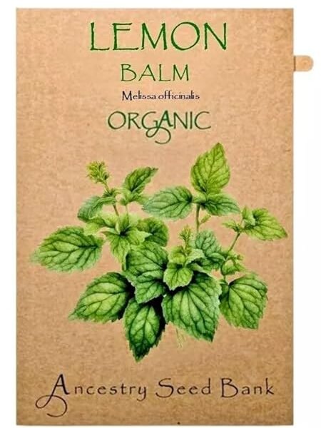 Organic ❁ Lemon Balm ❁ 200 Seeds Heirloom Herb – Non GMO