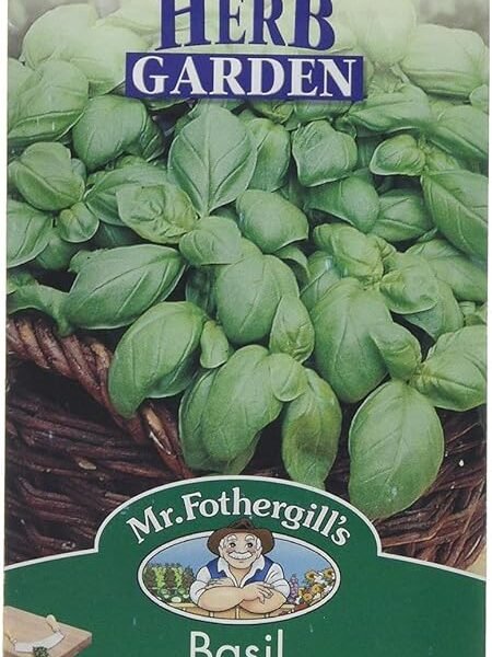 Mr Fothergill’s 23144 Basil Sweet, Black