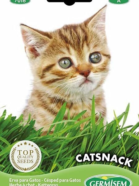 Germisem Catsnack Herb for Cats Seeds 10 g
