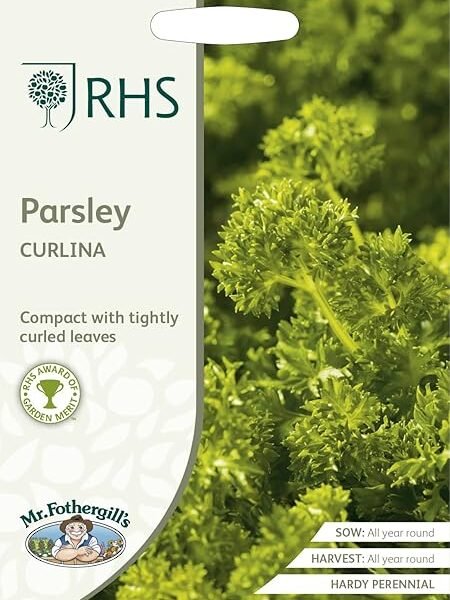 Mr Fothergill’s – RHS Parsley Curlina, Green