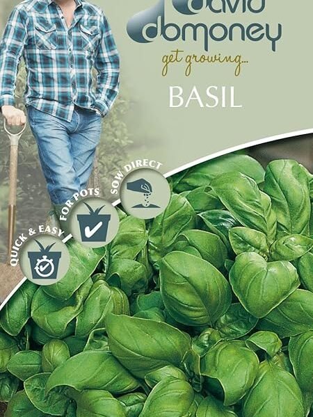 Mr Fothergills – Herb – David Domoney Basil Sweet – 650 Seeds