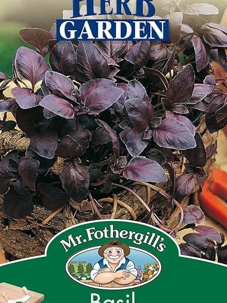 Mr Fothergills – Pictorial Packet – Herb – Basil Red Leaved – 300 Seeds