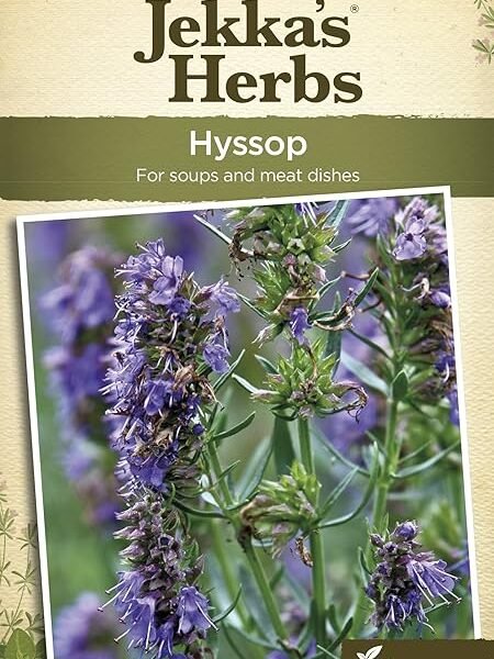 Johnsons 23139 Herb Seeds, Hyssop