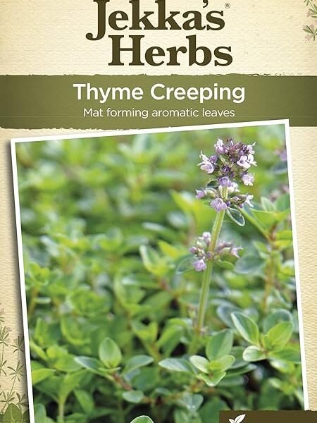 Johnsons 20878 Herb Seeds, Thyme Creeping