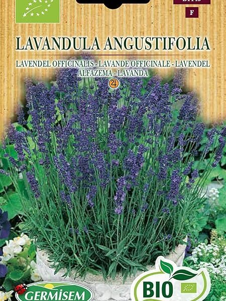 Germisem Organic Lavandula Angustifolia Lavender Seeds 0.5 g Multicolour ECBIO1143