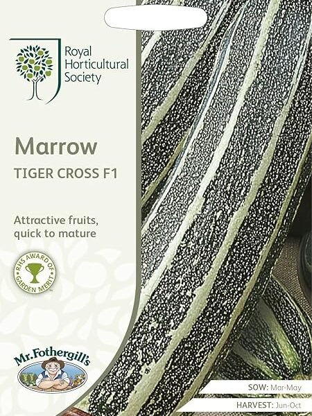 Mr Fothergills -RHS Marrow Tiger Cross F1