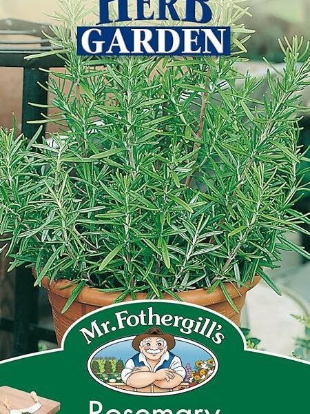 Mr Fothergill’s 12681 Herb Seeds, Rosemary, Blue