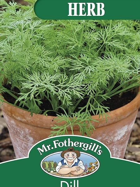 Mr Fothergill’s 29888 Dill (Dwarf) Nano Herb Seeds, Green