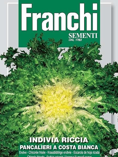 Franchi Endive Cuor D’oro Pancalieri