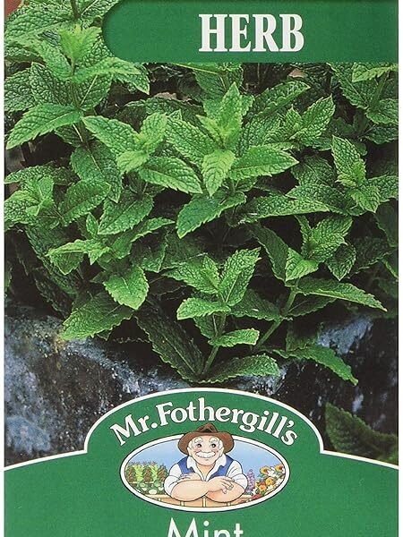 Mr Fothergill’s Mint
