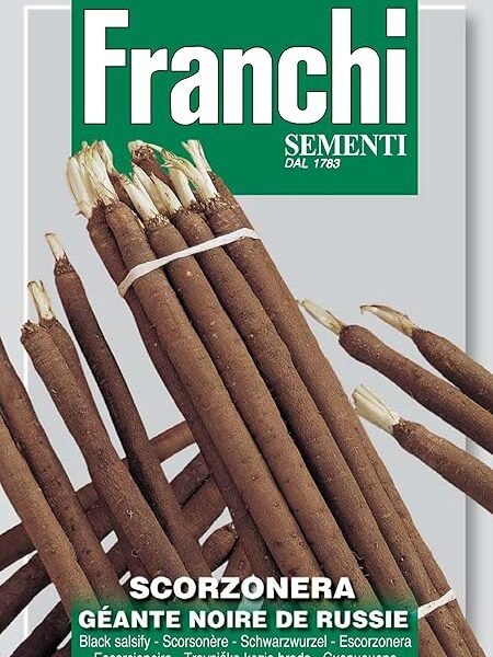 Franchi Salsify Scorzanera