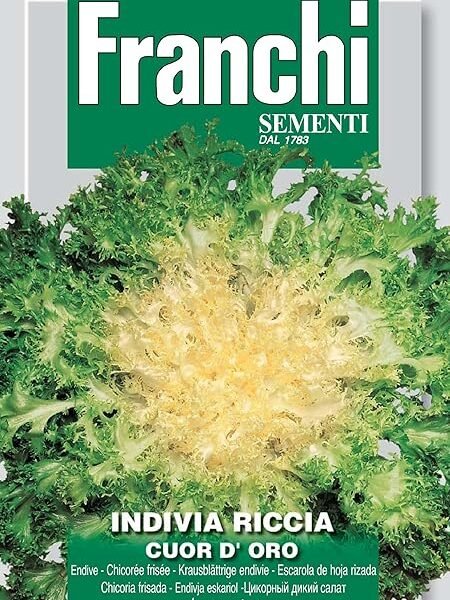 Franchi Endive Riccia Cuor D’oro